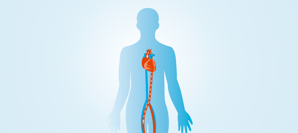 Transcatheter Aortic Valve Replacement (TAVR)